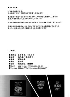 Girassóis florescem à noite - Foto 44