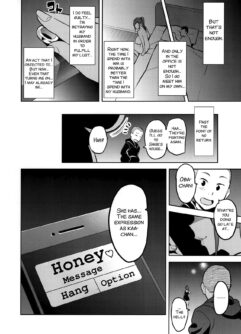 Girassóis florescem à noite - Foto 45